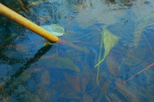 WhatsApp Image 2025-08-26 at 12.48.17 PM