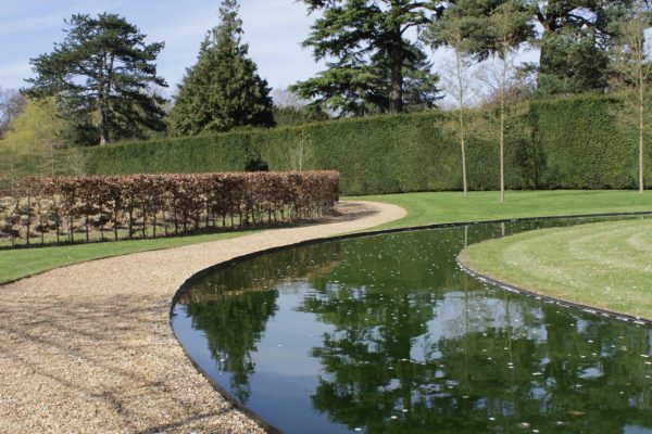 A vertical shot of a path in a green park with trees and a lake under the blue sky